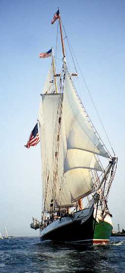 Liberty Clipper